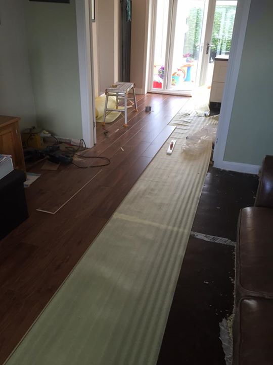 Oiled walnut Quick Step flooring in Linlithgow