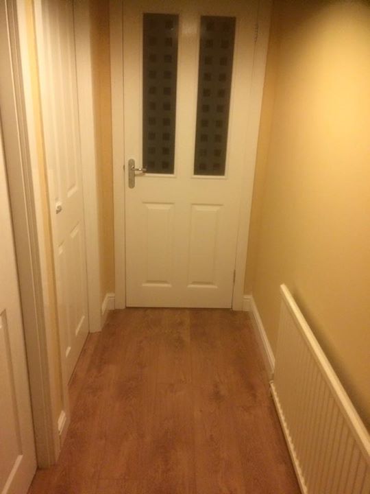 Solido Flooring and 4panel doors, Linlithgow