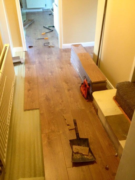 Solido Flooring and 4panel doors, Linlithgow